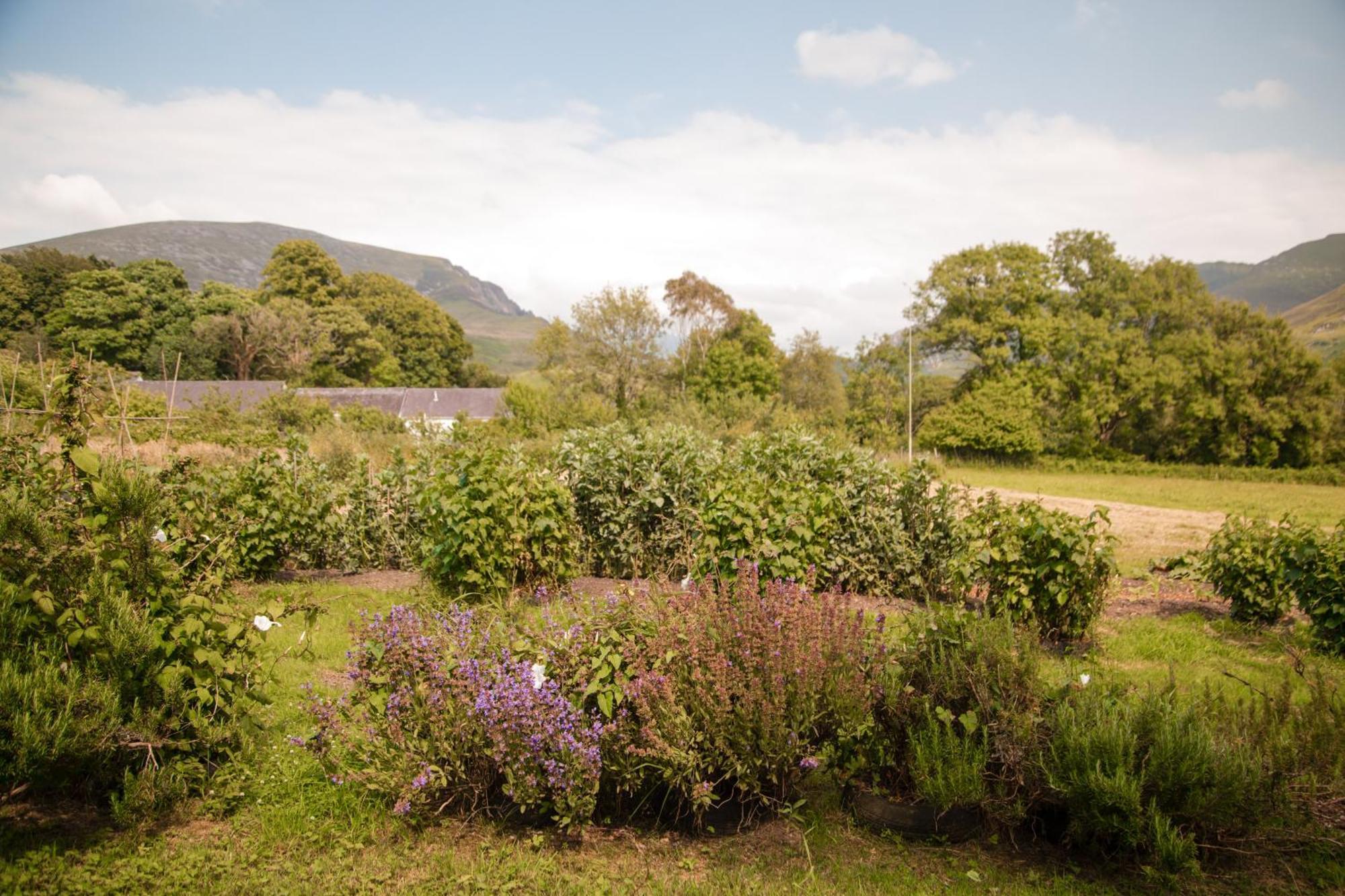 Trigonos - Quiet, Peaceful, Vegetarian B&B And Retreat Centre Nantlle Exterior foto