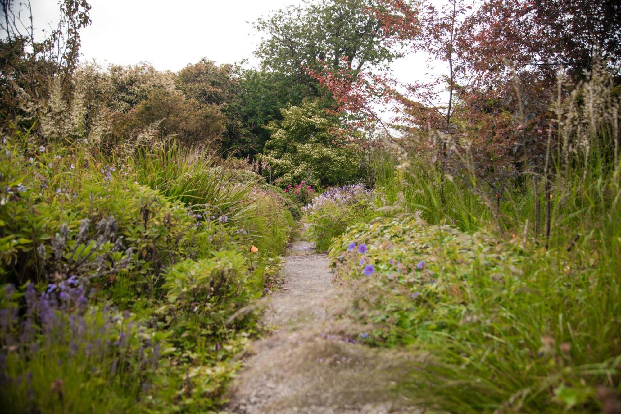 Trigonos - Quiet, Peaceful, Vegetarian B&B And Retreat Centre Nantlle Exterior foto