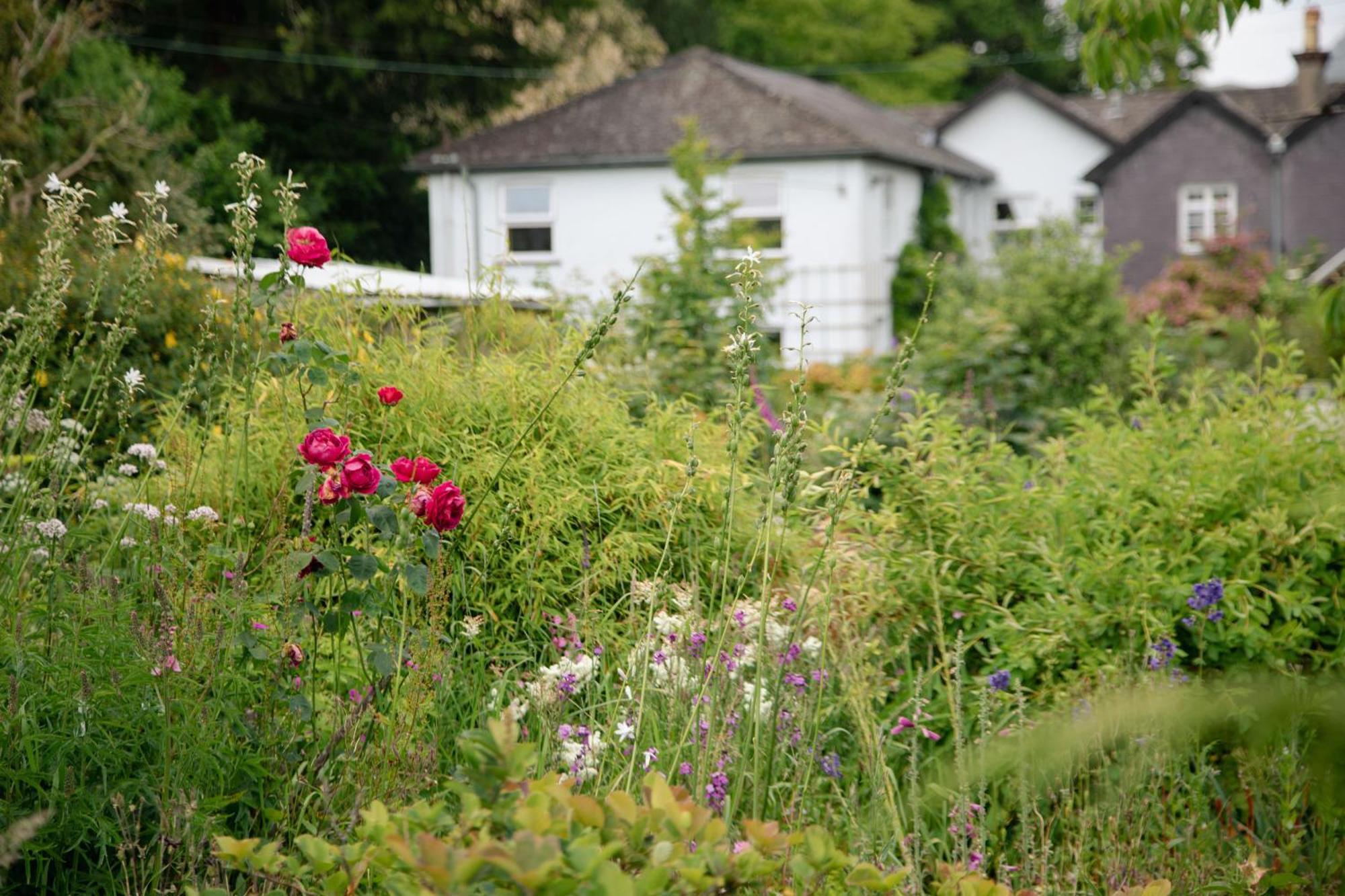 Trigonos - Quiet, Peaceful, Vegetarian B&B And Retreat Centre Nantlle Exterior foto